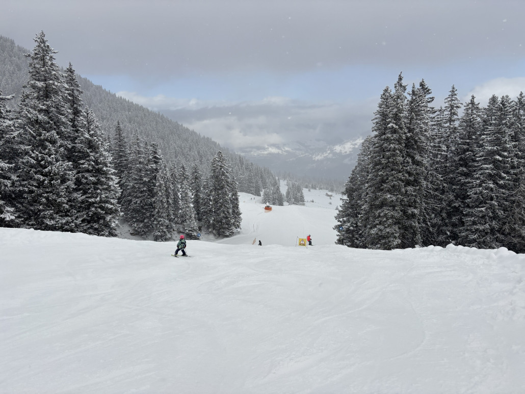 Und zurück am Bürserberg. Da geht’s jetzt geradeaus zur Mittelstation der neuen Loischbahn