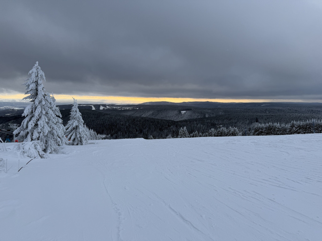 Schneesituation im Gelände, immer entlang der Baumreihen halten