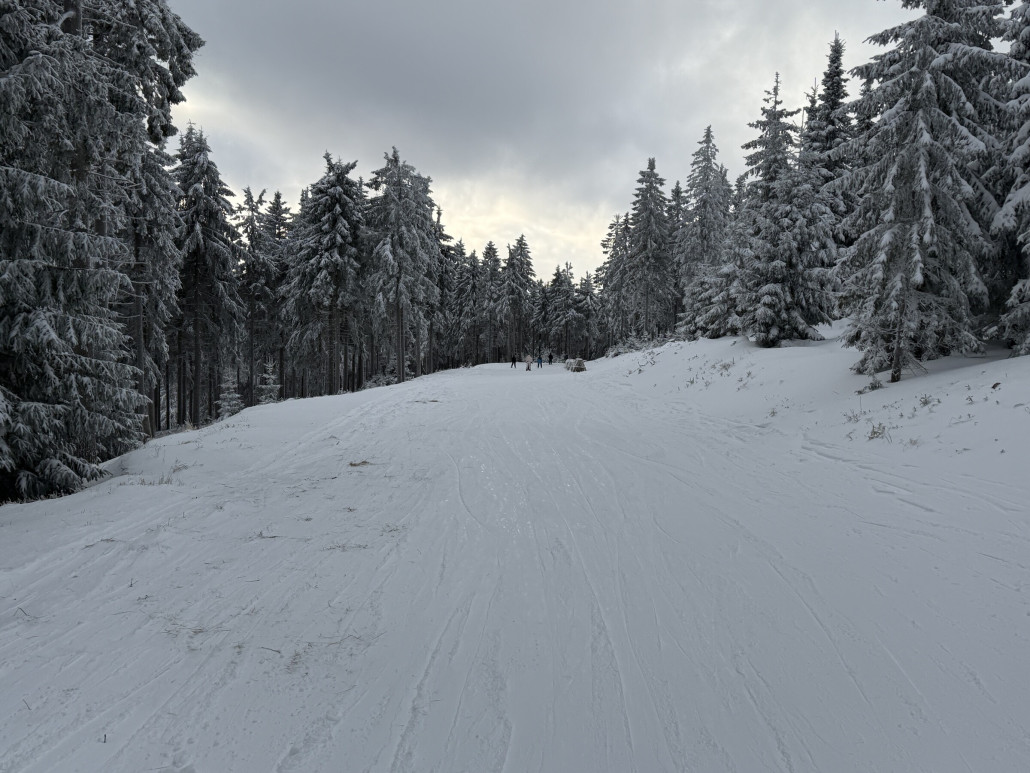 Darum hier nur ein Bild wo etwas Gemüse durchschaut...