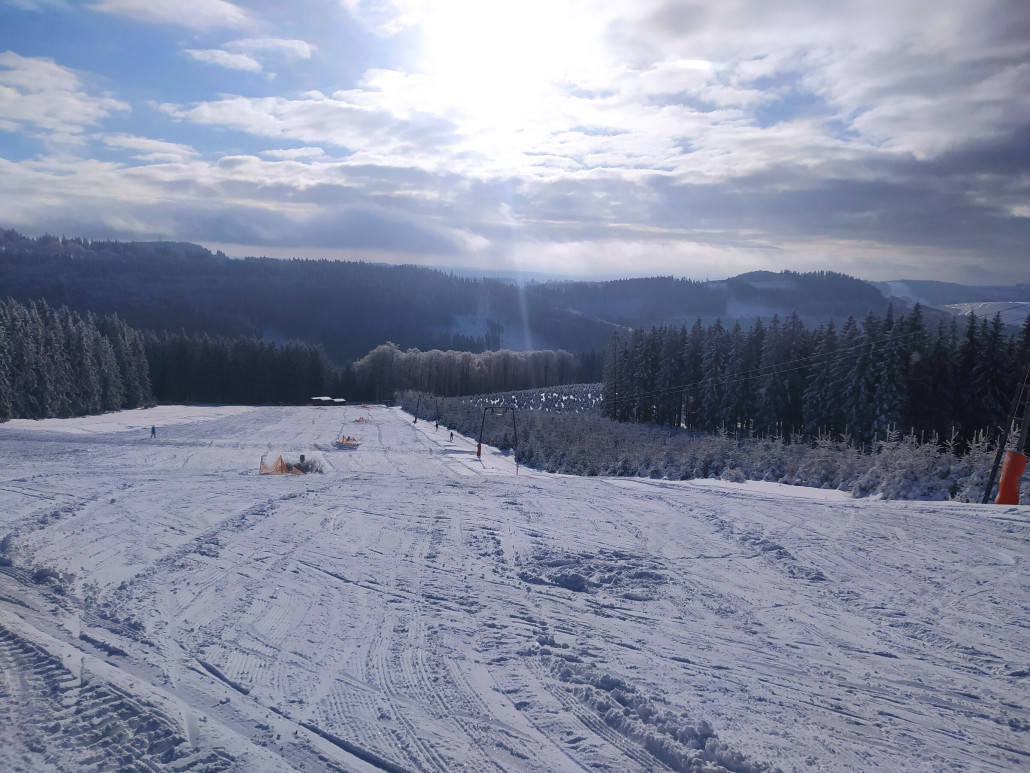 Blick vom Schwedenhang (heute präpariert)