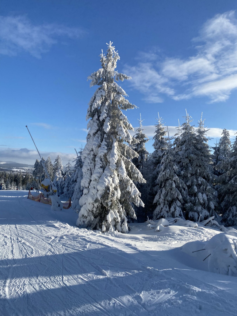 Nochmal Winterwonderland