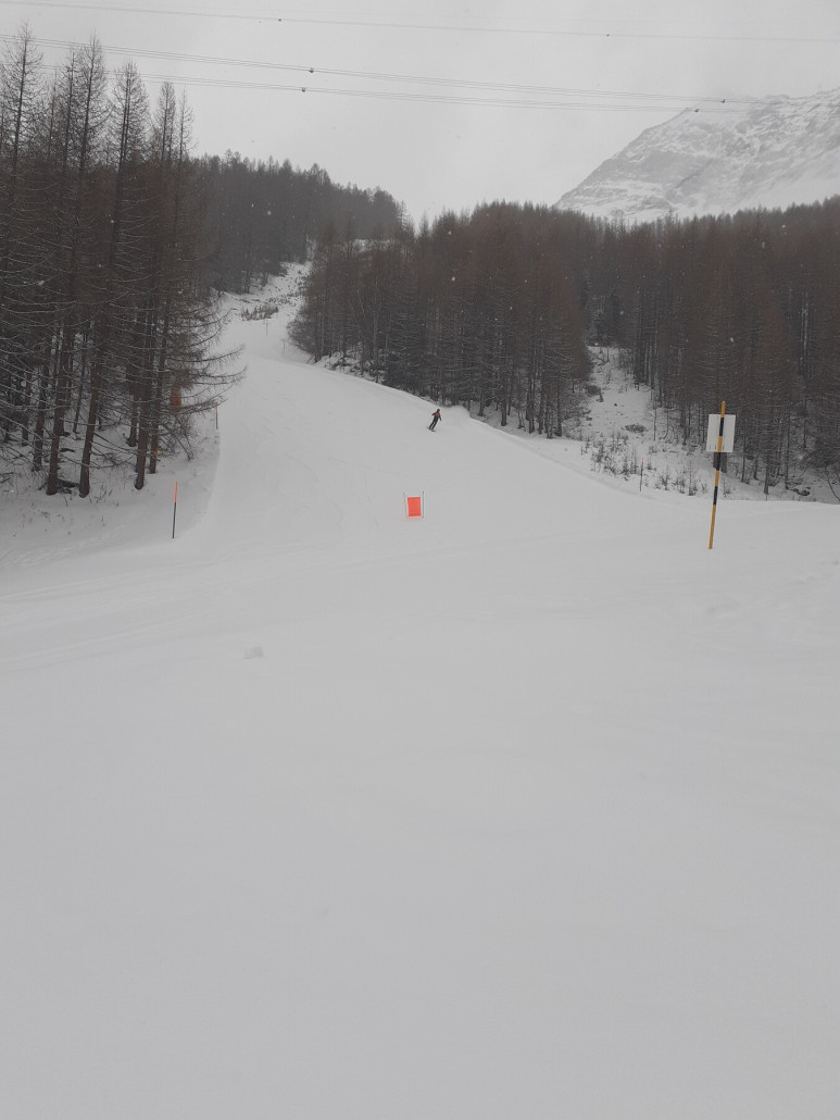 2 Galen (ganz unten) (08.01.26)