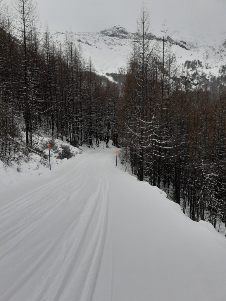3 Waldweg (ganz unten offen, ansonsten gesperrt) (08.01.26)