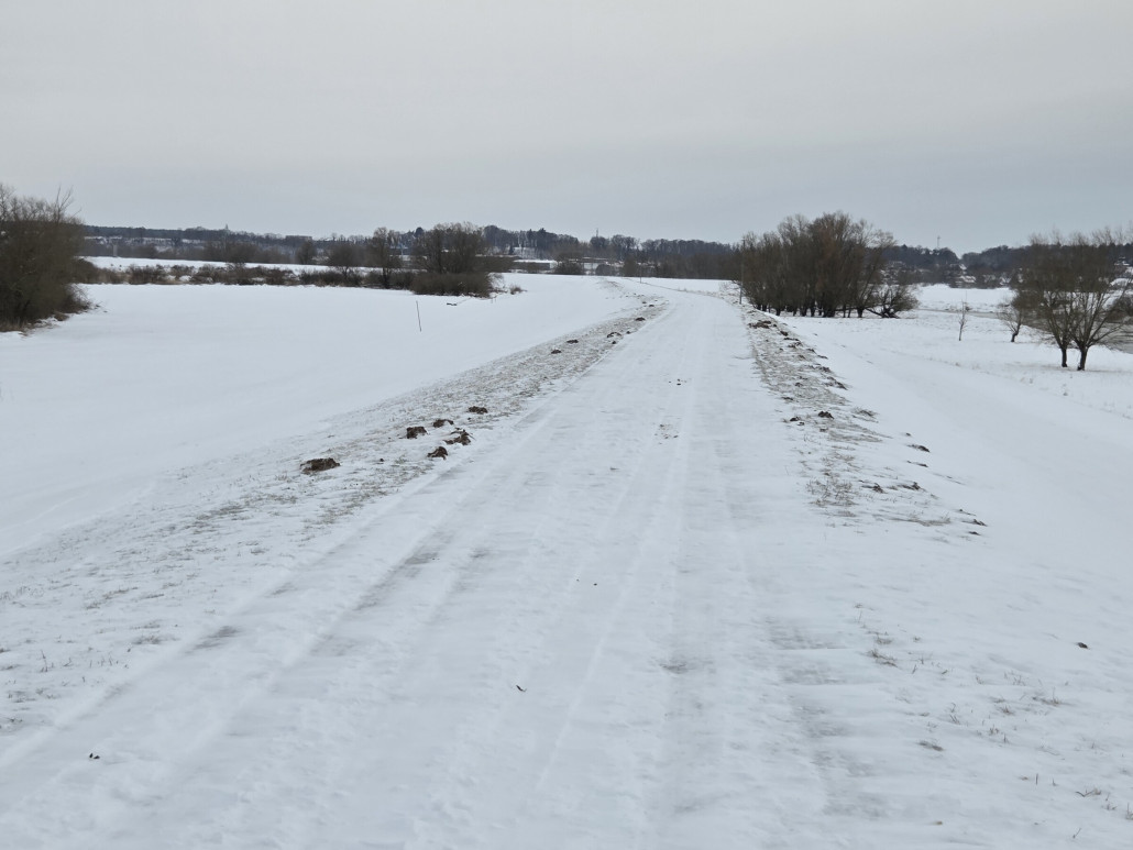 Abgeblasene Deichkrone