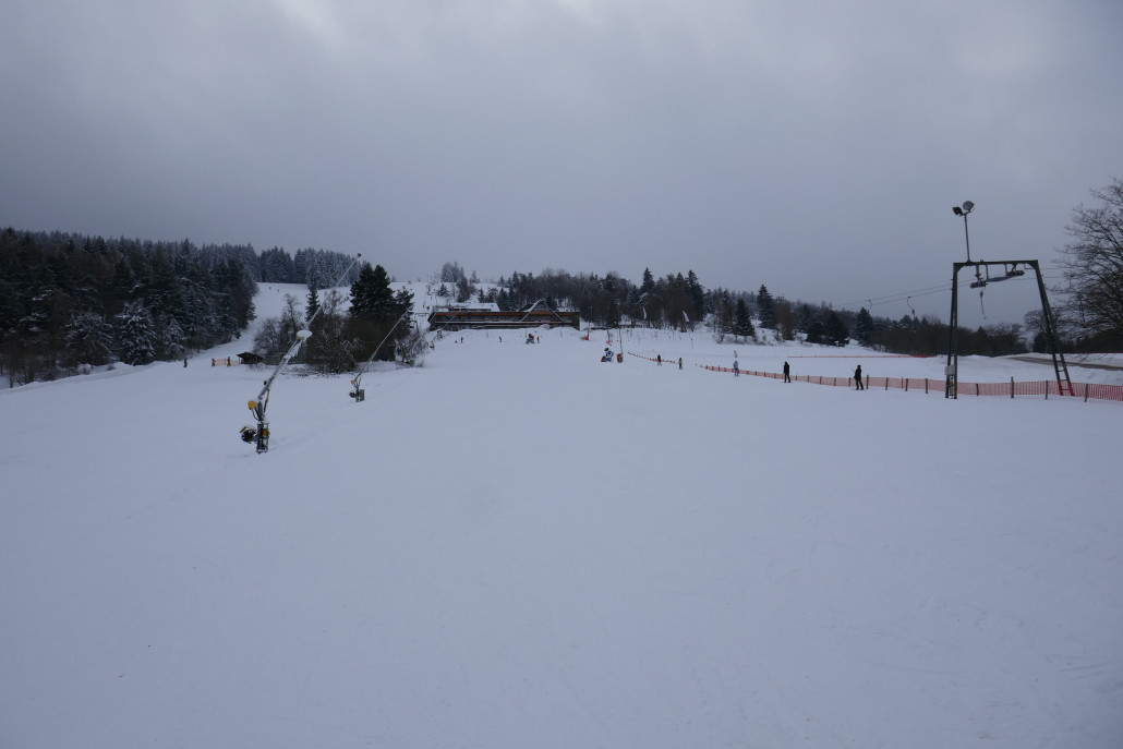 Mittlerer Wilddieb SL