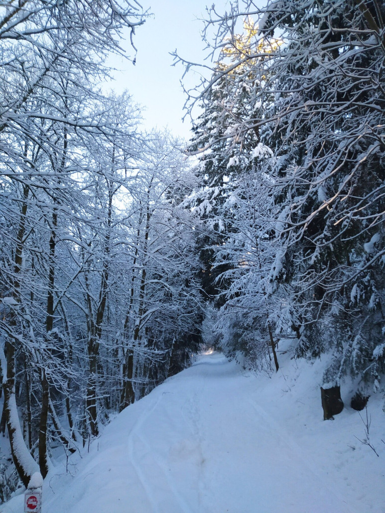 Rothaarsteig Skiroute