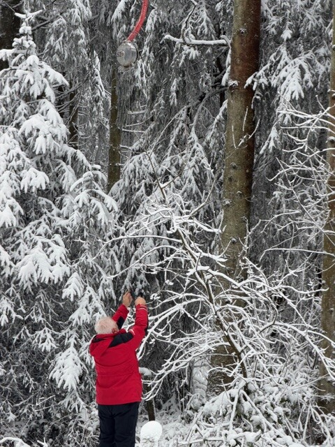 Die Kneifzange muss den im Baum verhedderten Anker befreien