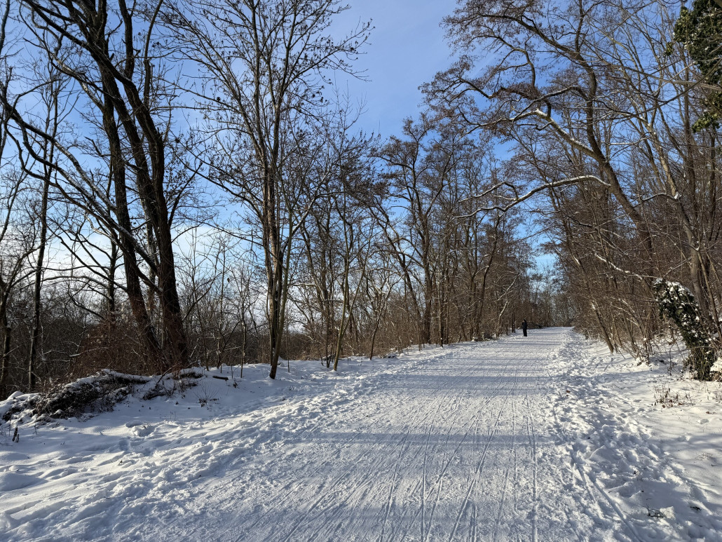 Längste Rodelbahn mit knapp 800m und 40hm