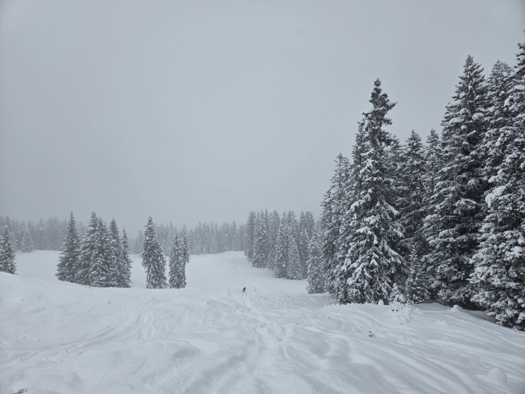 Die 24 war richtig toll zu fahren.