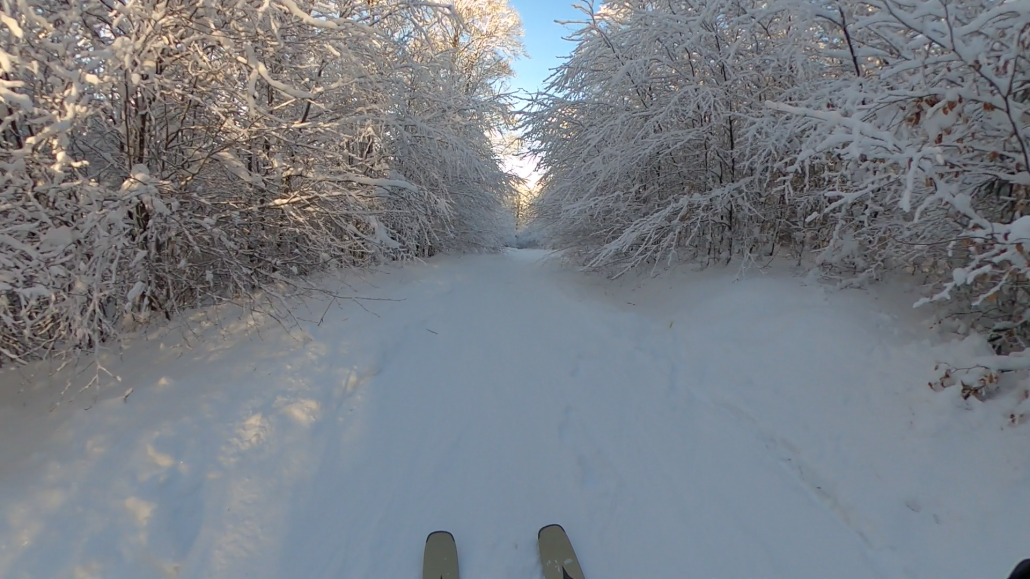 Screenshot (469).png