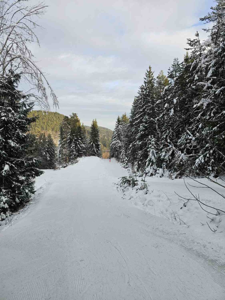 Der obere Abschnitt bietet sich wunderbar für gepflegte Kurzschwünge an. Ab dem Flachstück rund um die zweite Stütze wird es deutlich breiter, der Hang eignet sich durchaus auch zum Carven.