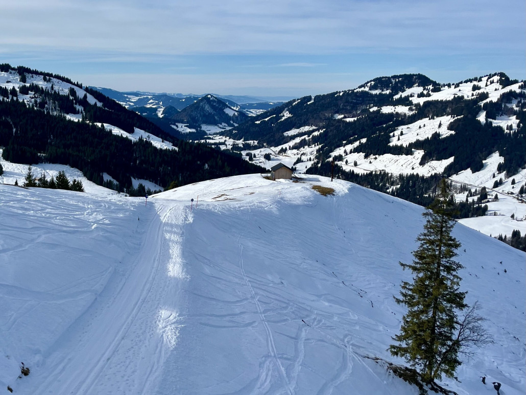 Gipfelkreuz des Gelbhansekopf inkl. Panorama bis Rheinebene / Bodensee