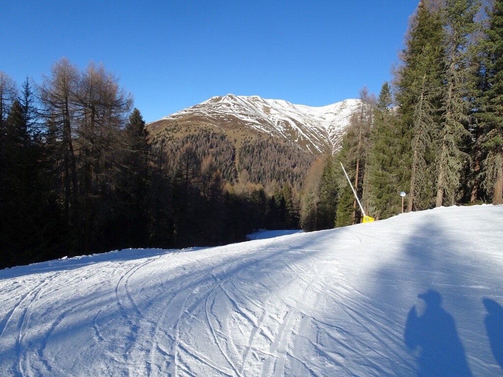 32 Piste 11 Wald.jpg