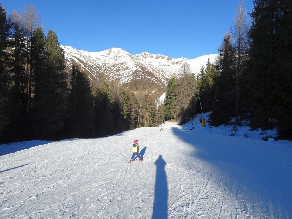 33 Piste 11 Wald.jpg