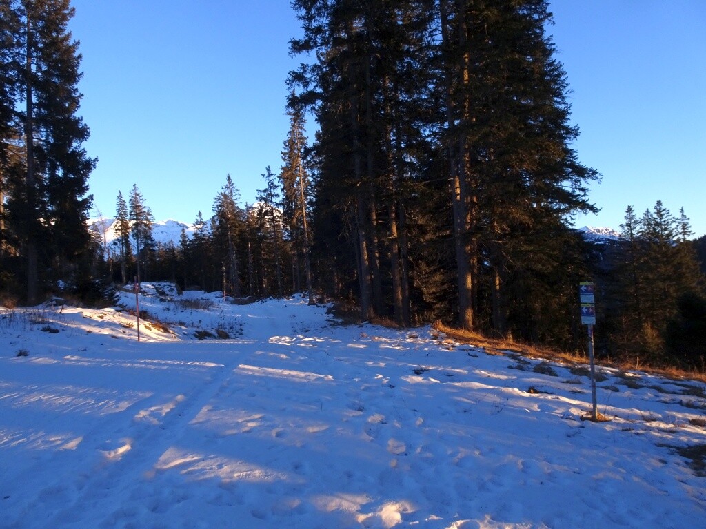65a Wanderwege am Kleinen Mutzkopf.jpg