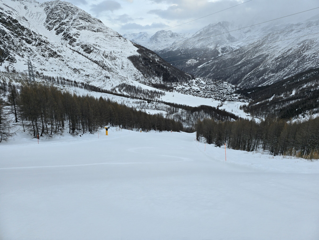 6b Sperwerzucht Morgens mit minimaler Neuschneeauflage.