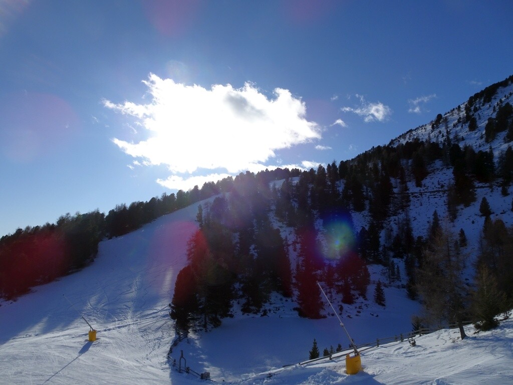 54 Haideralm - ein Teil der aufgegebenen LSA-Bereiche.jpg