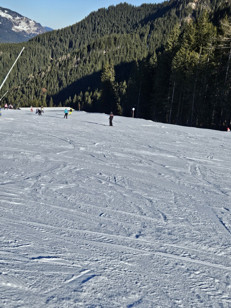 Pisten am Senderexpress im oberen Teil gut, im unteren Teil sehr harter Untergrund mit Puderzuckerschnee obenauf. Vermutlich die Lanzen.