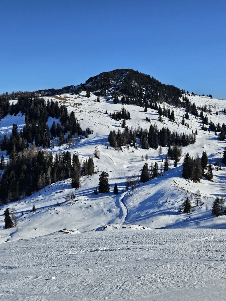 Sie haben alles gegeben