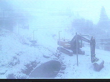 Aber wenns auf dem Trübsee...