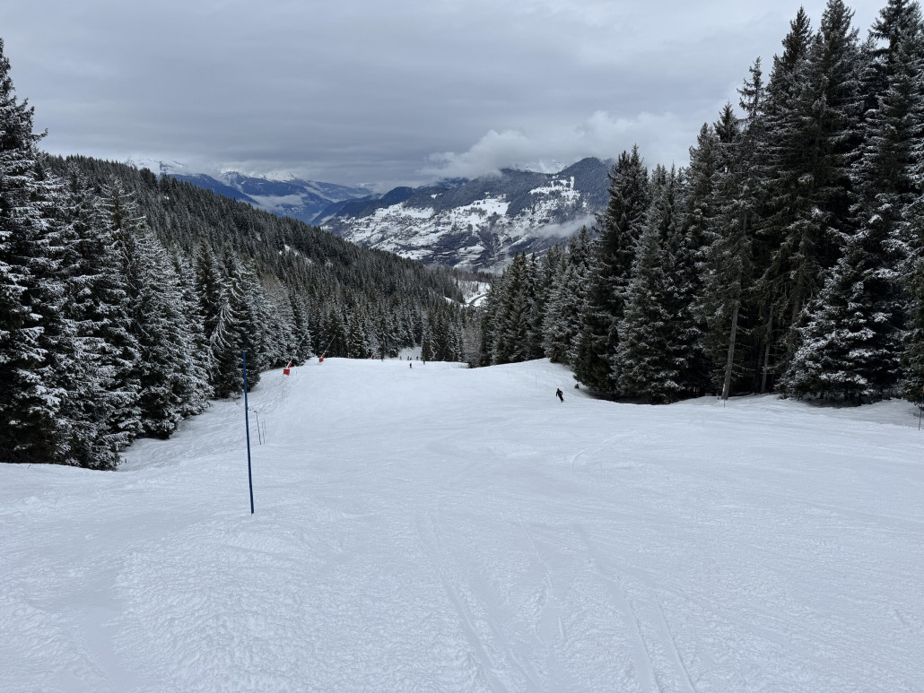 Folyeres - superschöne Waldabfahrt