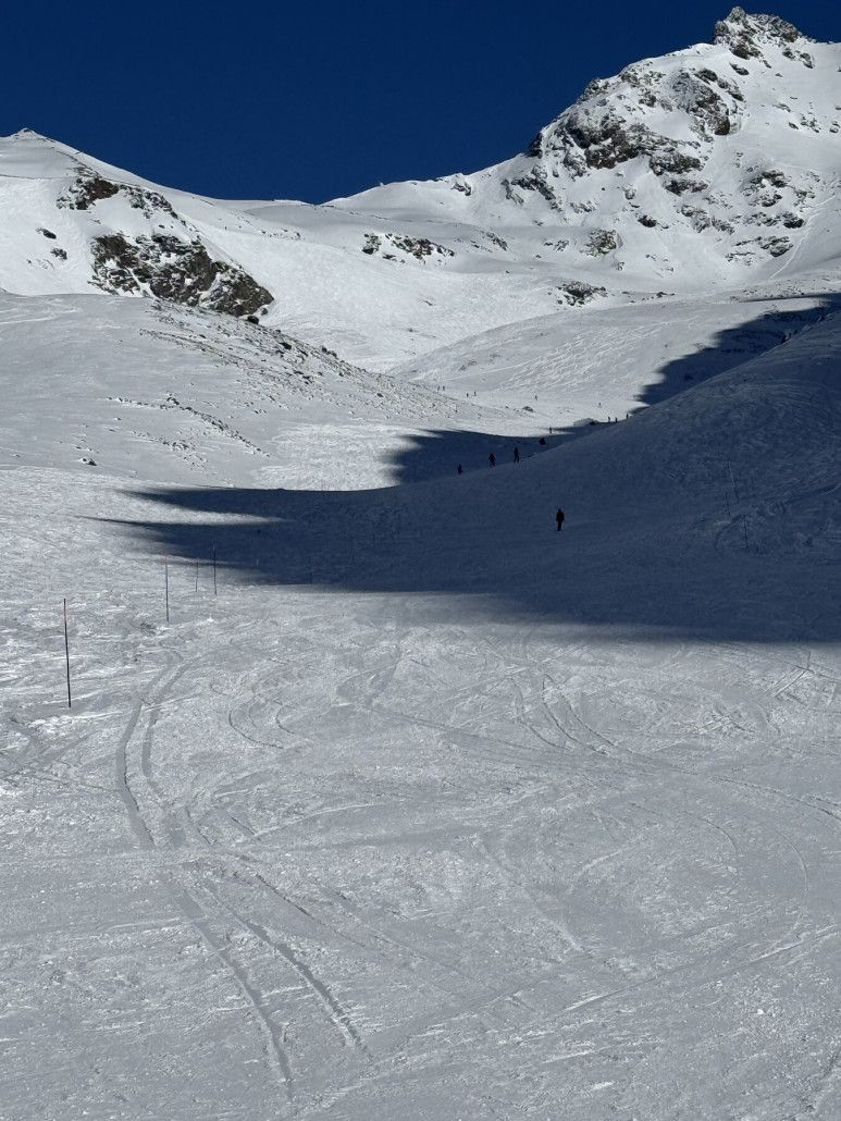 Lory von unten betrachtet