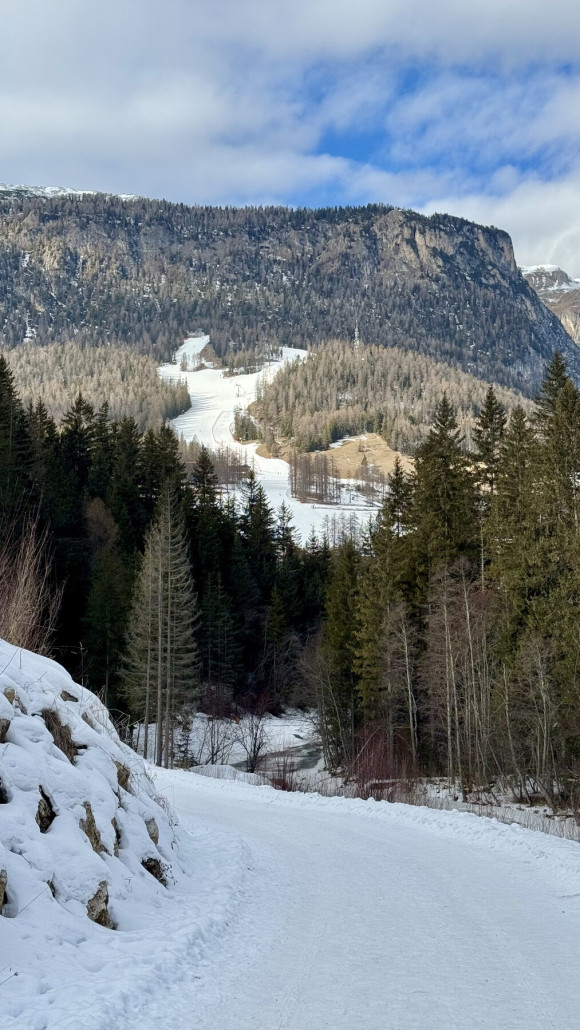 Blick vom Wanderweg auf die Gardenaccia