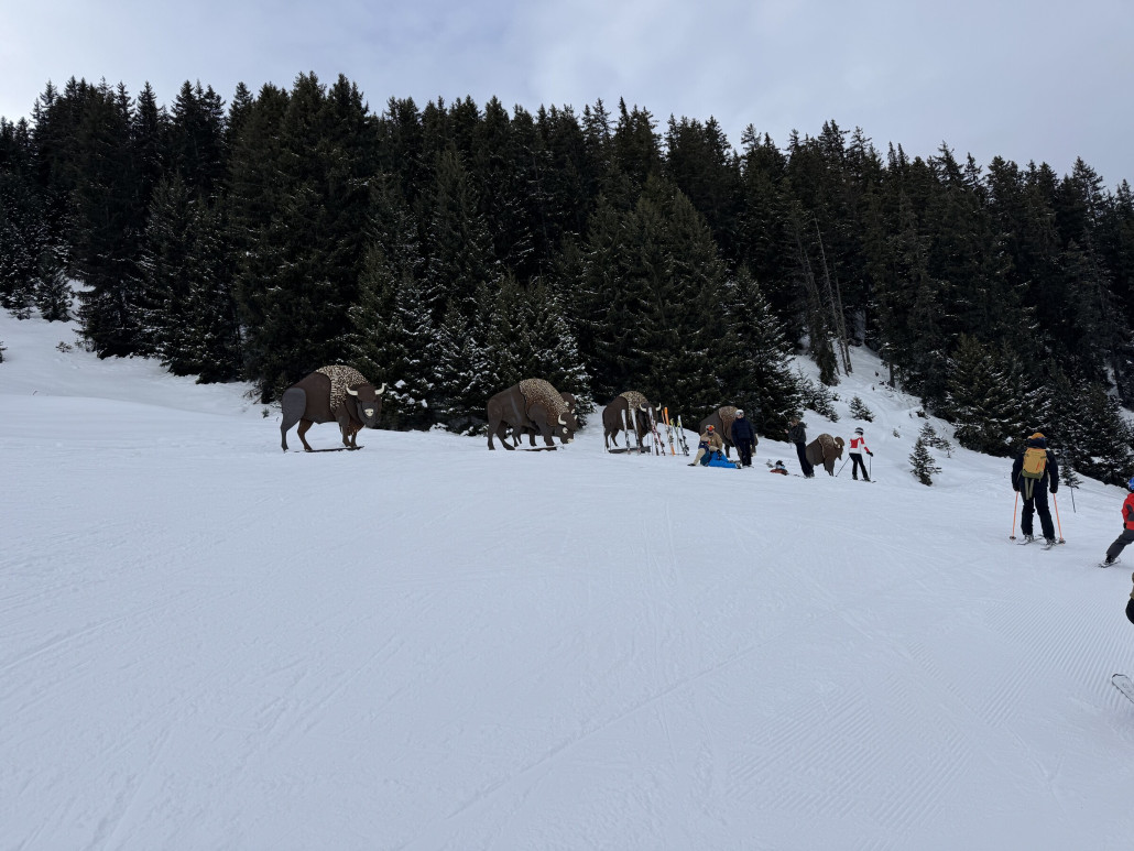 Büffel auf der Abfahrt Indiens