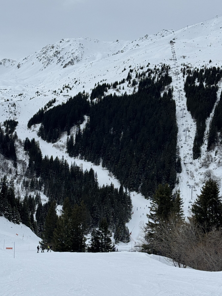 Wir erreichen die Aiguille du Fruit, links kommt die Creux. Von ganz oben Saulire bis zu dieser Talstation macht die Creux knapp 4km bei 880 Hm
