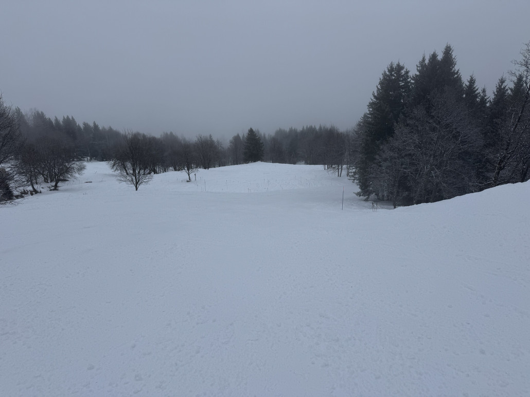 Raffort eignet sich an einem Whiteout Day