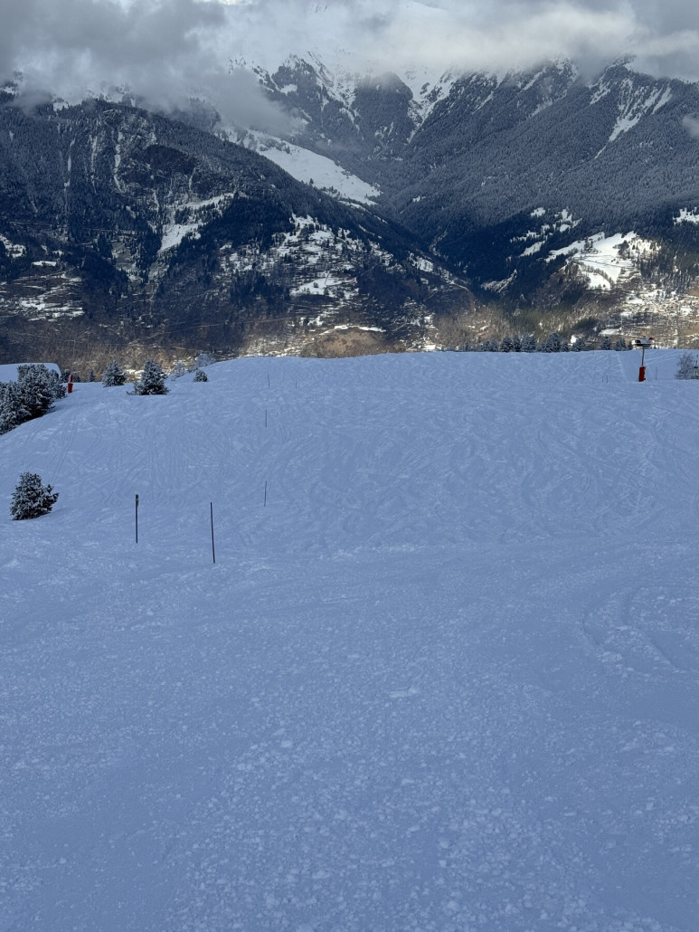 Von der Chenus Bergstation erreicht man die Waldabfahrt Jean Blanc