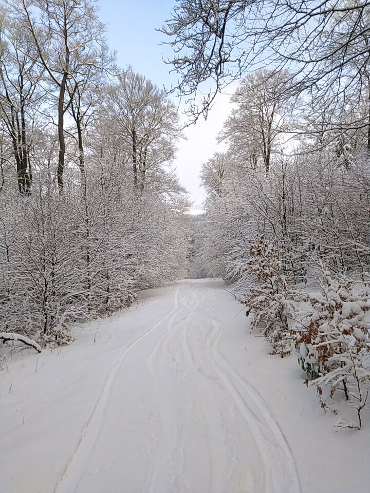 Verbindung Westfalenhang 1- Westfalenhang 2