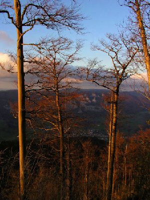 Blick aus der Röti-Norwestflanke nach Welschenrohr