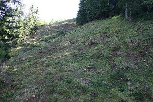 Rodungen an der alten Skiroute vom Gipfel 1. Man sieht gut das die Bäume noch nicht sehr gross wahren, ich schätze die Piste lies man vor etwa 10 Jahren zuwachsen.