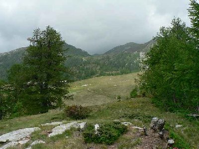 Blick von der Bergstation Richtung Alp Salei. Hier Oben über der Baumgrenze ist das Fortkommen etwas einfacher.