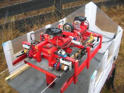 DSCN3313 (Medium) (Small).JPG