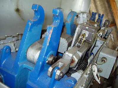 Von der Seite. Die beiden Hörner sind zum öffnen