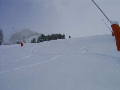 Variantenabfahrt zum Pecol