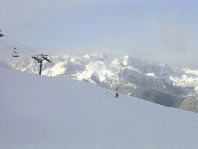 Rosengarten durch leichte Nebelschwaden