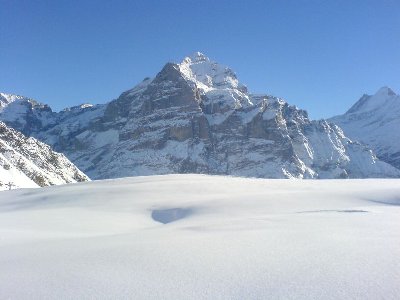 Wetterhorn