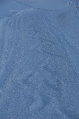 Bei idealer Hangneigung gleite ich mit Skating-SChritten elegant hinunter.