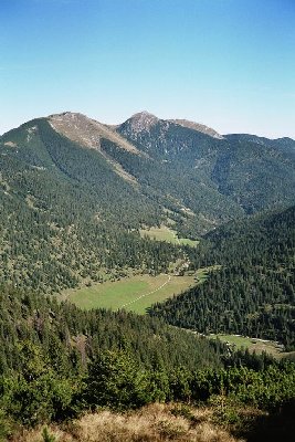 blick zur Esterbergalm runter.jpg