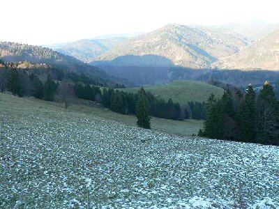 Hang Richtung Präg. Hier stand auch mal ein Skilift. Vom Hochkopf konnta man hier runter fahren. Jetzt ist es nicht mehr verbunden.