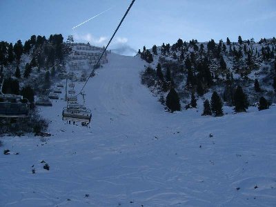 Knorren Harakiri Beschneiung.JPG