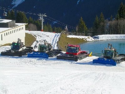 Die Bullys warten auf Arbeit