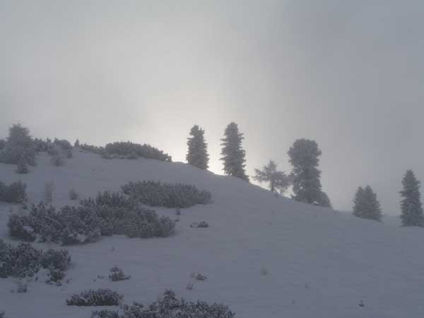 Ob die Sonne nicht doch noch kommt? (vergebliches Hoffen)