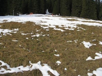 .......nach oben gar nicht