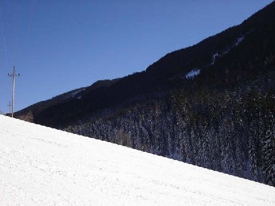 Hang mit viele Baumen.