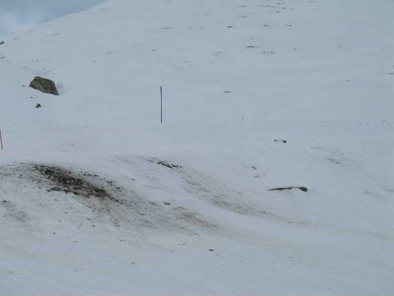 eine der wenigen braunen Stellen vor dem zweiten Neuschnee
