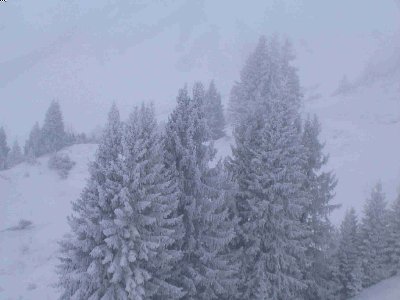 St. Anton 2007 152.jpg
